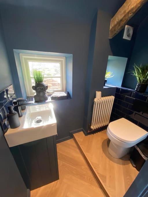 Rosedale A Charming Detached 4 Bedroom Cottage. Brixham Extérieur photo