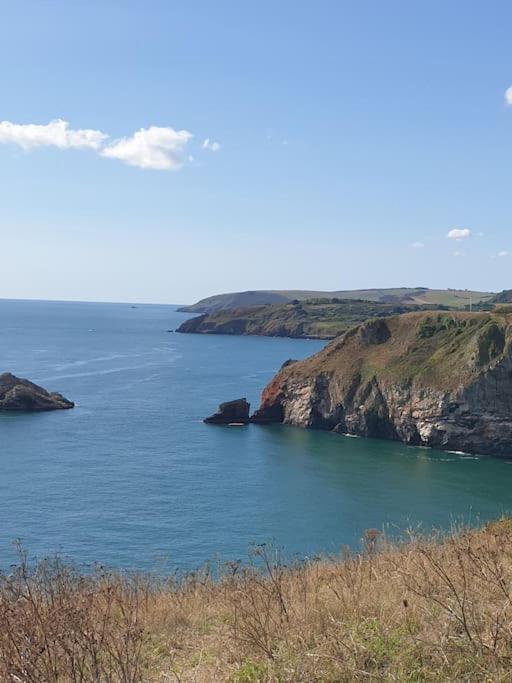 Rosedale A Charming Detached 4 Bedroom Cottage. Brixham Extérieur photo