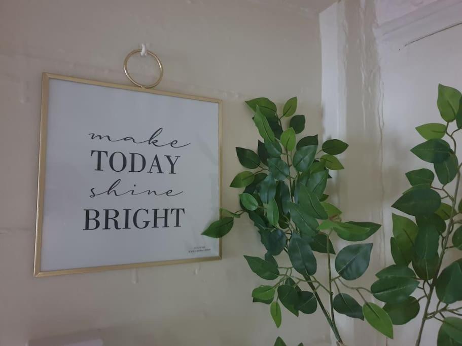 Rosedale A Charming Detached 4 Bedroom Cottage. Brixham Extérieur photo